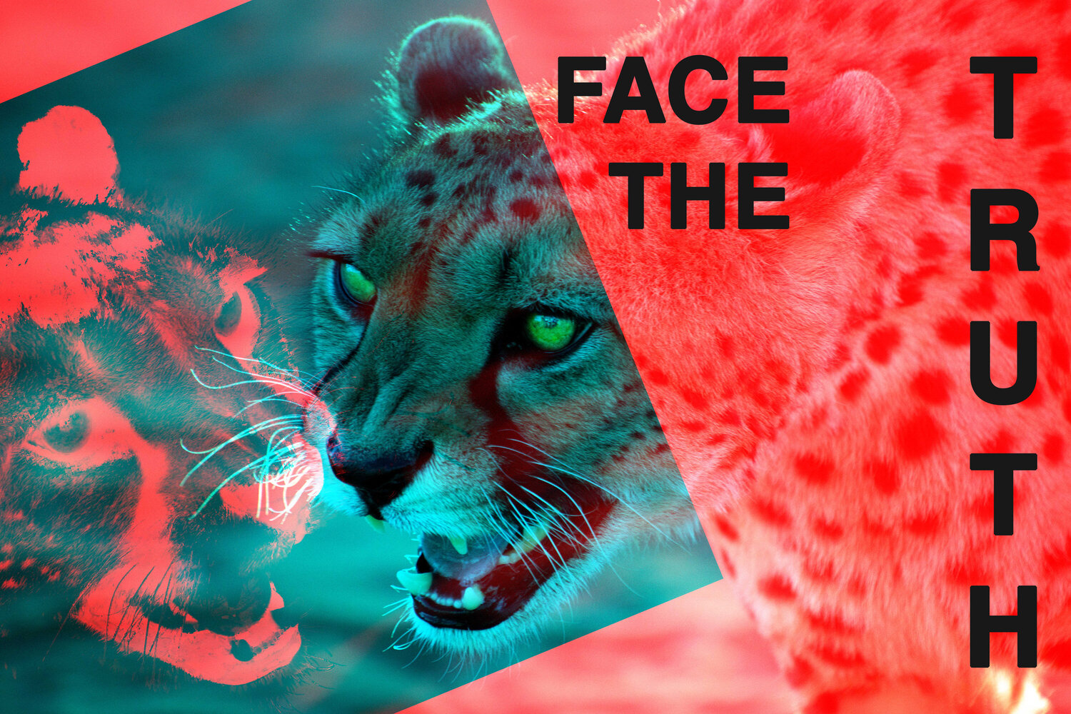 Face the Truth Nina Kollmann Photographie à vendre