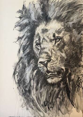 Ngorongoro lion von Lucinda Roper, Zeichnungen kaufen auf Singulart
