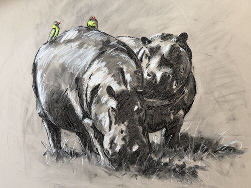 The watchful duo 83 by Lucinda Roper, 소묘 for Sale on Singulart
