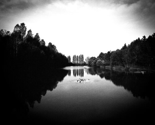 Rêve #10 de ETIENNE Buraud, Fotografía a la venta en Singulart