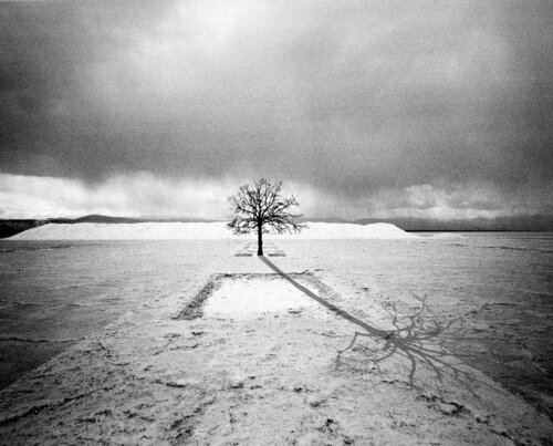 Rêve #29 di ETIENNE Buraud, Fotografia in vendita su Singulart