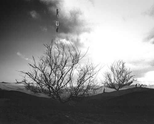 Rêve #30 di ETIENNE Buraud, Fotografia in vendita su Singulart
