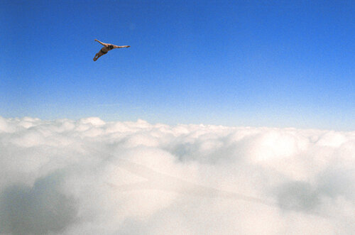 Rêve #4 / Plongeur de ETIENNE Buraud, Fotografía a la venta en Singulart