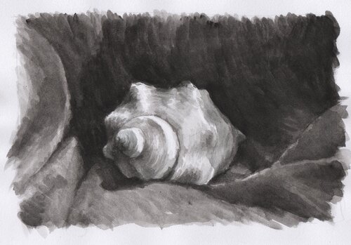 Caracol marino van Clara Eder, Schilderij te koop op Singulart