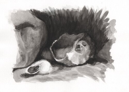 Caracol roto van Clara Eder, Schilderij te koop op Singulart
