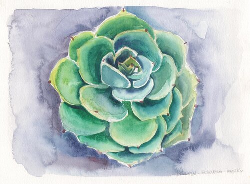 Geometría Vegetal: Echeveria par Clara Eder, Peinture en vente sur Singulart