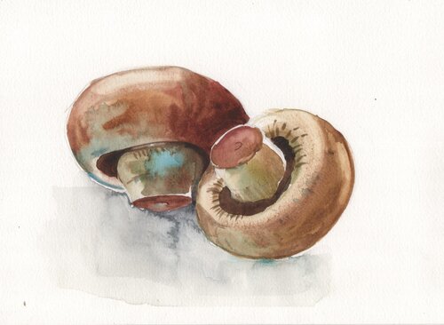 Estudio botánico: Fungi I par Clara Eder, Peinture en vente sur Singulart
