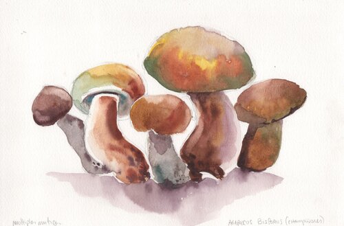 Quinteto de otoño de Clara Eder, Pintura a la venta en Singulart