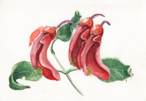 Sangre Nacional, el grito de la acuarela by Clara Eder, 油畫 for Sale on Singulart