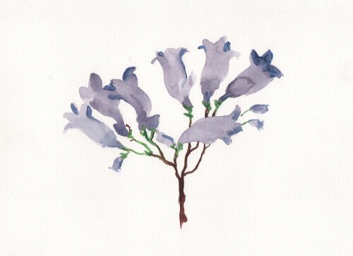 Frágil Primavera by Clara Eder, 油畫 for Sale on Singulart