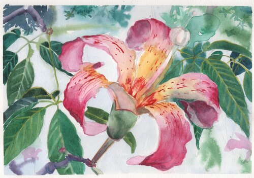 "Estallido de Primavera" by Clara Eder, 絵画 for Sale on Singulart