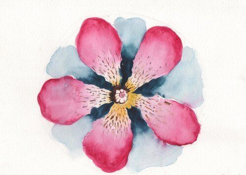 El Alma de la Flor by Clara Eder, 絵画 for Sale on Singulart