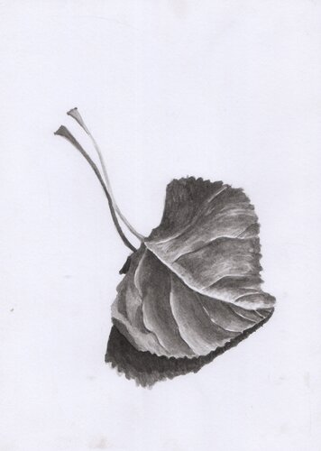 Otoño en Monocromo by Clara Eder, Painting for Sale on Singulart