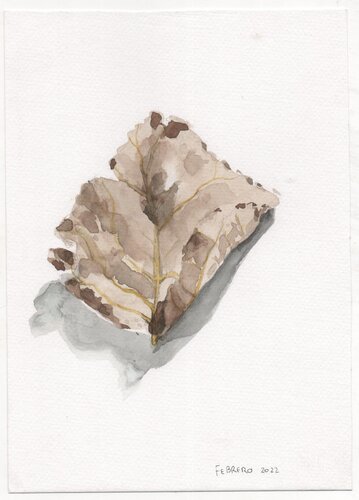 Quietud del Álamo van Clara Eder, Schilderij te koop op Singulart