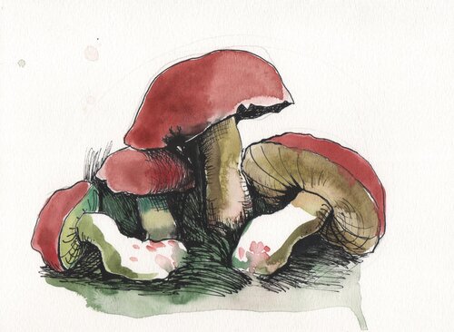 Fungi: Ritmos de Tinta by Clara Eder, Painting for Sale on Singulart