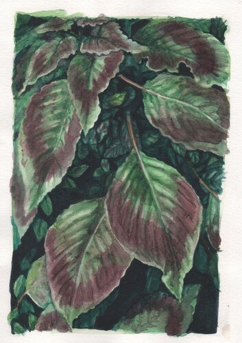 Corazon de Cretona by Clara Eder, Painting for Sale on Singulart