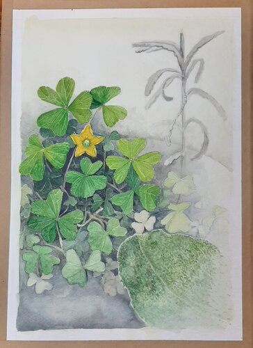 Secreto de Maceta by Clara Eder, Painting for Sale on Singulart