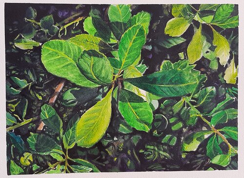 Hojas de Mate par Clara Eder, Peinture en vente sur Singulart