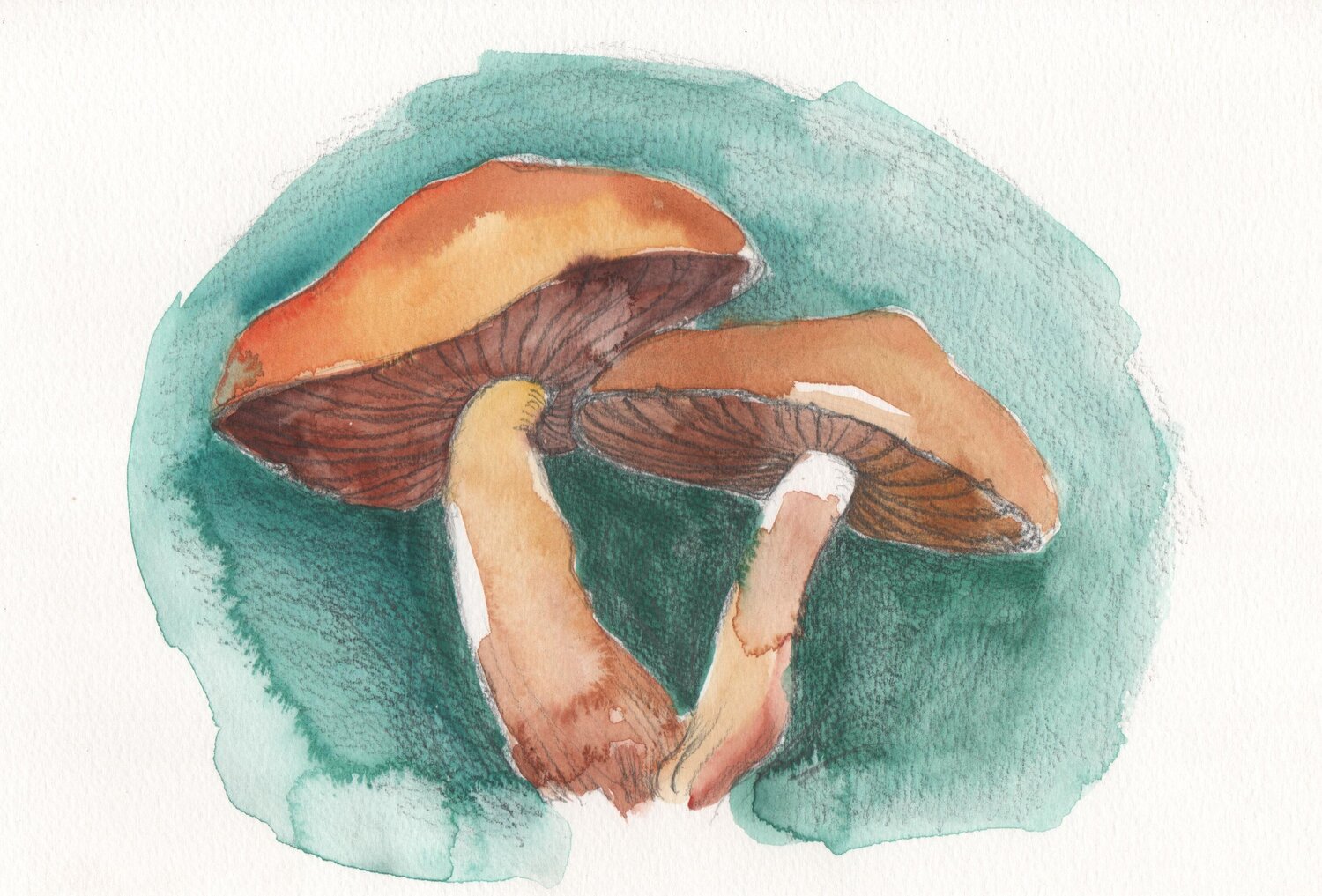 Fungi: Estudio de Fondo Esmeralda Clara Eder Originalgemälde zu verkaufen