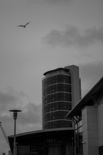 Dockside Flat - Close Up van Emmanuella Maeba, Fotografie te koop op Singulart