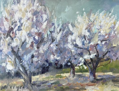 Springtime Almond Trees von Leslie Golden, Malerei kaufen auf Singulart