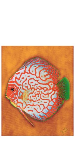 Pez naranja de Miguel Sangüesa Alba, Digital a la venta en Singulart