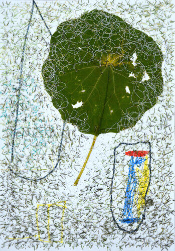 Tropaeolum (Herbarium Series - Malta) de Mira Podmanická, Obra en papel a la venta en Singulart