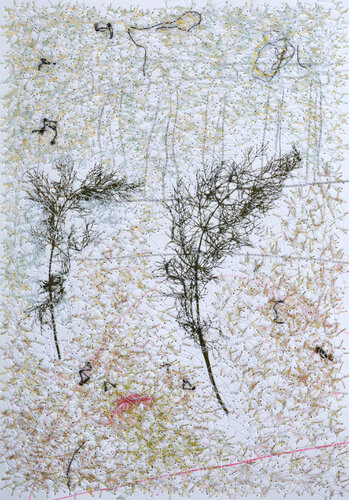 Fennel (Herbarium Series - Malta) by Mira Podmanická, Other Media for Sale on Singulart