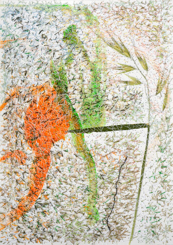 Avena Barbata (Herbarium Series - Malta) van Mira Podmanická, Werk op papier te koop op Singulart