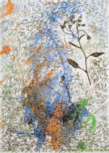 Borago Officinalis L. (Herbarium Series - Malta) de Mira Podmanická, Otros medios a la venta en Singulart