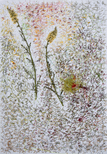 Reseda Alba (Herbarium Series - Malta) de Mira Podmanická, Obra en papel a la venta en Singulart