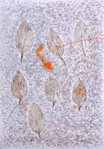 Citrus Leaves (Herbarium Series - Malta) by Mira Podmanická, Work on Paper for Sale on Singulart