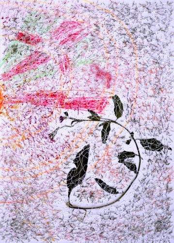 Oenothera rosea (Herbarium - Malta Series) par Mira Podmanická, Œuvre sur papier en vente sur Singulart