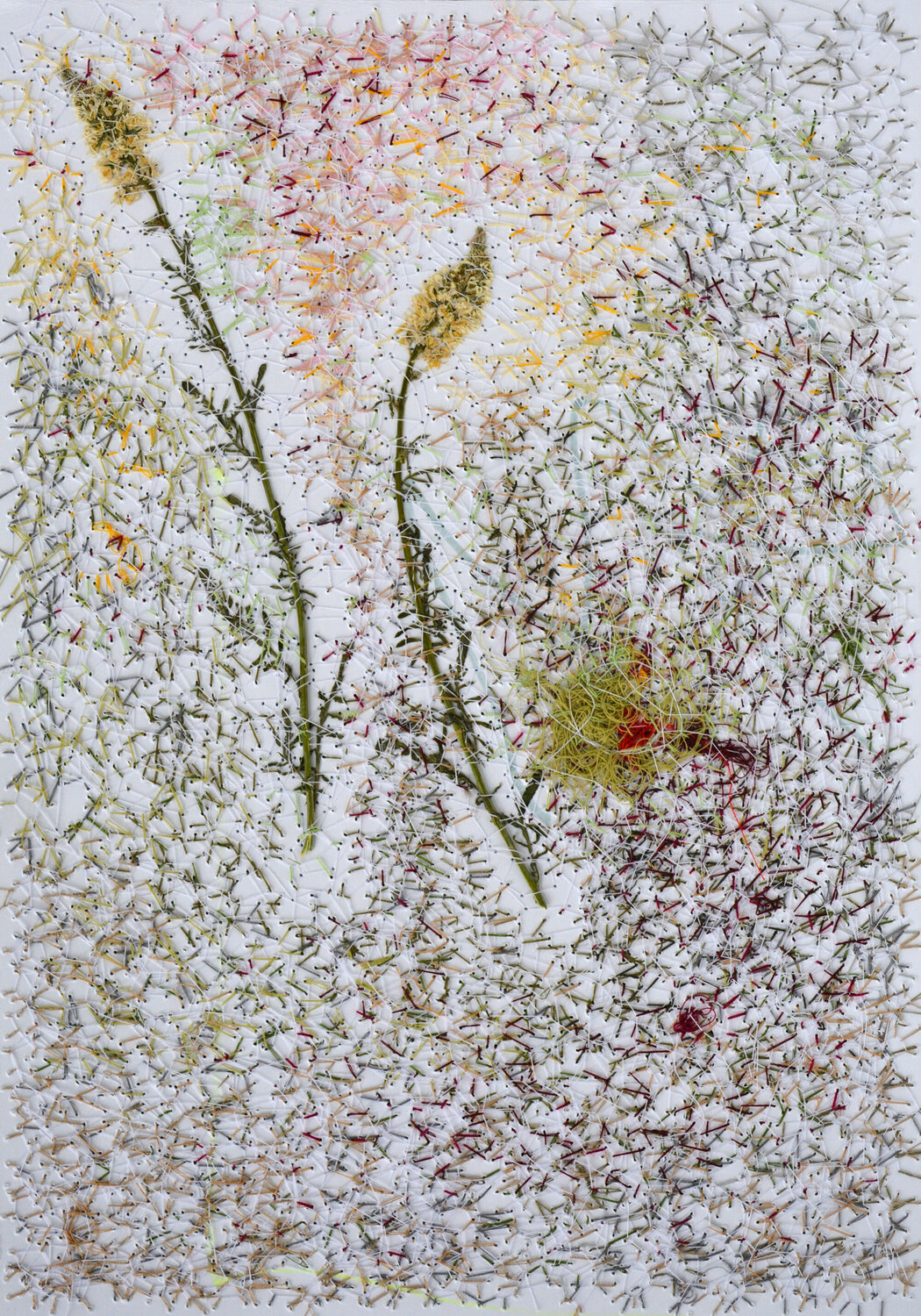 Reseda Alba (Herbarium Series - Malta) Mira Podmanická Werk auf Papier zu verkaufen