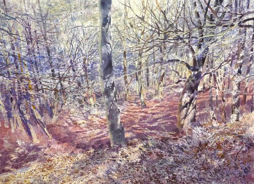 Where futile cycles may operate (Massif de Sancy) van David Forster, Schilderij te koop op Singulart