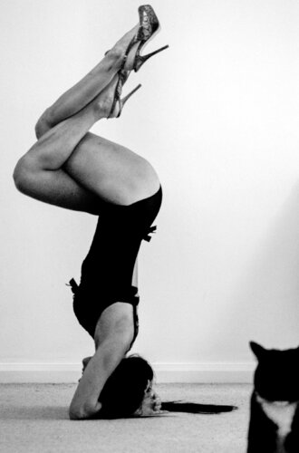 Felines by Maria Vasquez, Photography for Sale on Singulart