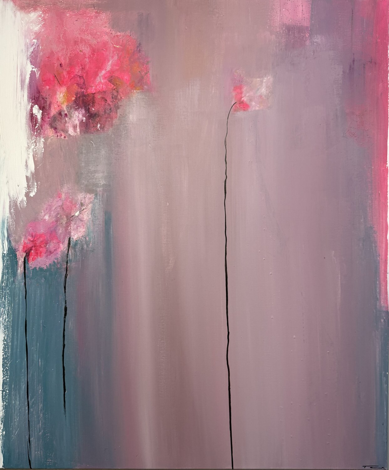 Blush Echo Stefani Tounsi