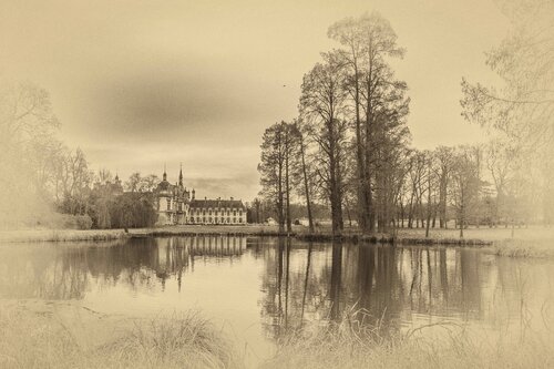 Chantilly by Marie Aubry, Photography for Sale on Singulart