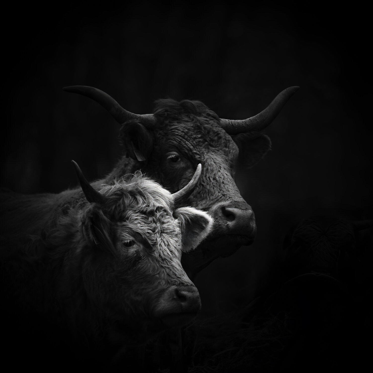 Thelma et Louise Marie Aubry