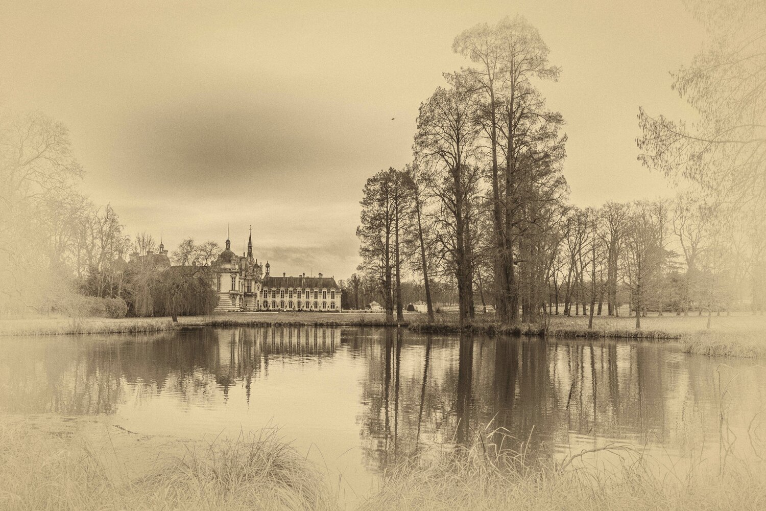 Chantilly Marie Aubry Photography for sale