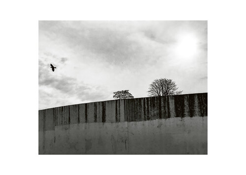 Le mur et l'oiseau van Phil Warin, Fotografie te koop op Singulart