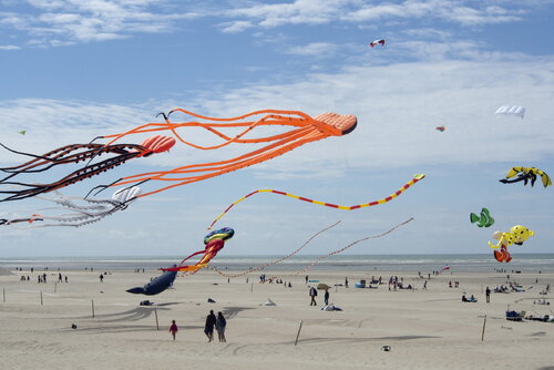 Gone with the wind par Phil Warin, Photographie en vente sur Singulart