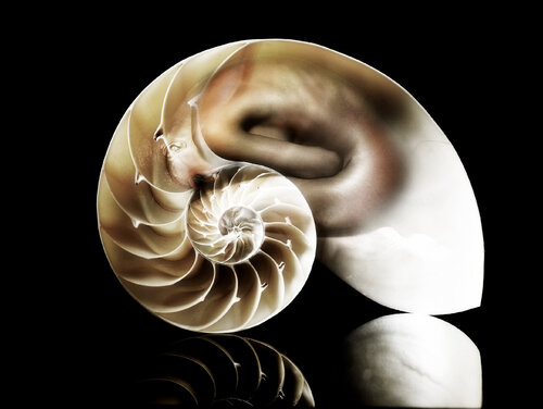 Spiral of life von Malcolm Dare, Fotografie kaufen auf Singulart