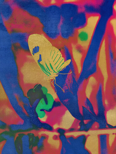 Gold Butterfly #01 par August Langhout, Photographie en vente sur Singulart