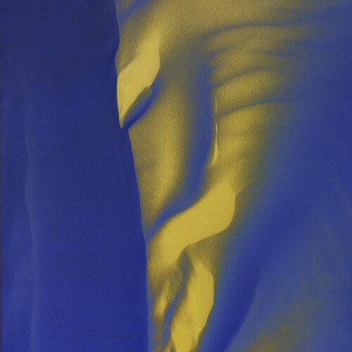 Interplay #01 de August Langhout, Fotografía a la venta en Singulart