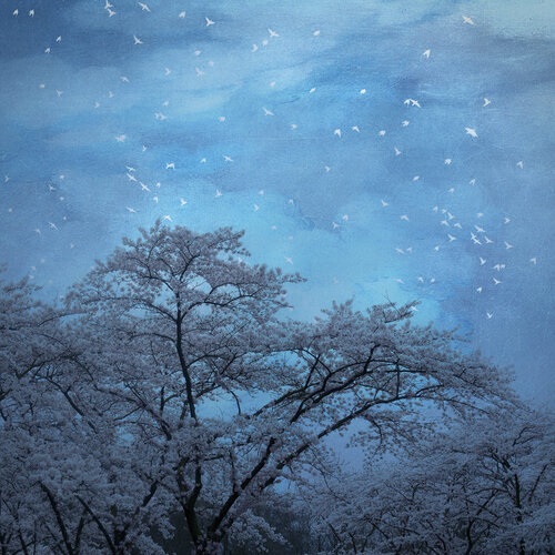 Whispering Forest #08 by August Langhout, Photography for Sale on Singulart