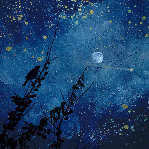 Whispering Forest #09 by August Langhout, Photography for Sale on Singulart