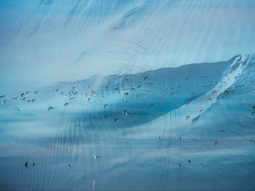 TideLand #08 by August Langhout, Photography for Sale on Singulart