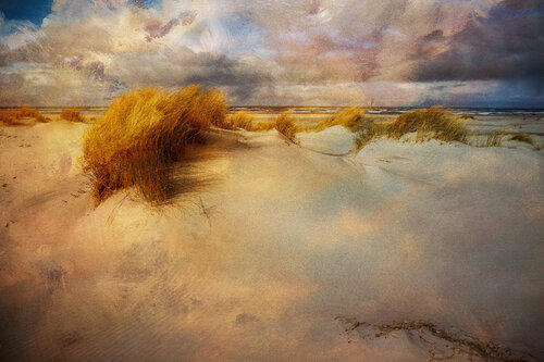 TideLand #10 by August Langhout, Photography for Sale on Singulart