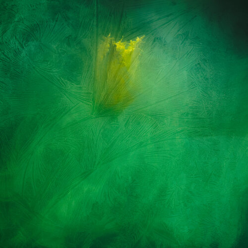 Sunken Beauty #03 di August Langhout, Fotografia in vendita su Singulart